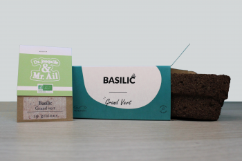 Basilic + graines