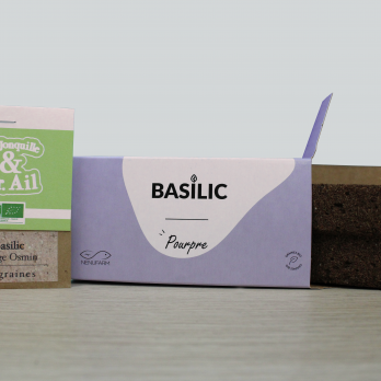 Basilic Pourpre + graines